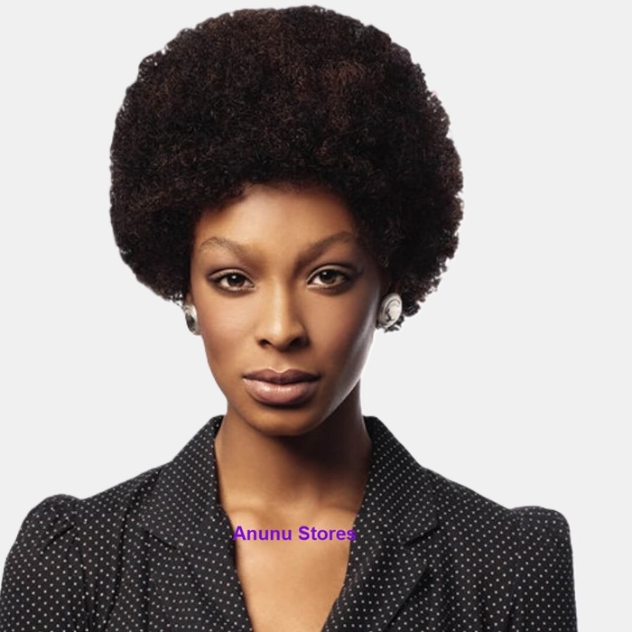 Wig Fashion By Sleek Human Hair Wig - Afro